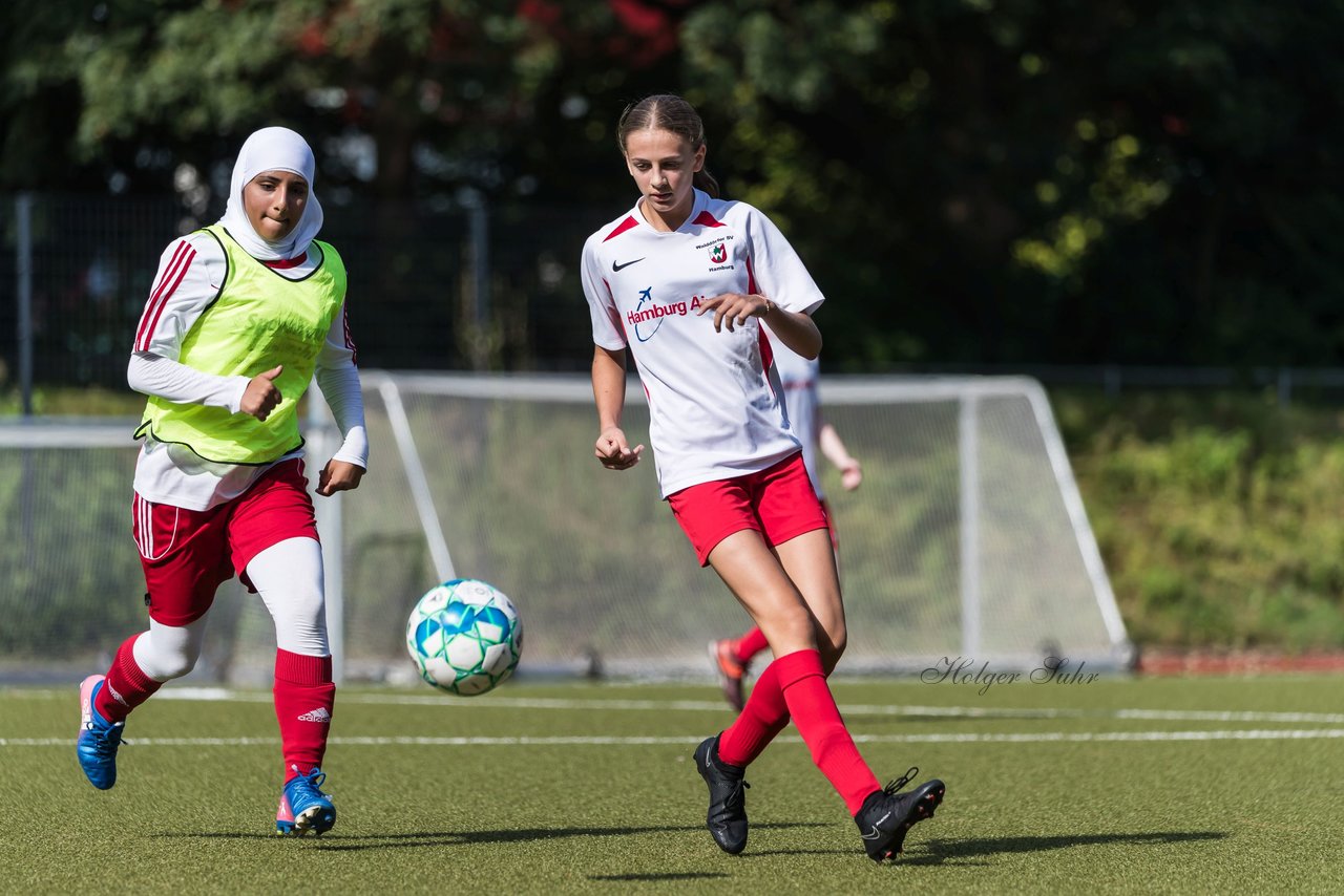 Bild 198 - wCJ Walddoerfer - Concordia : Ergebnis: 0:1